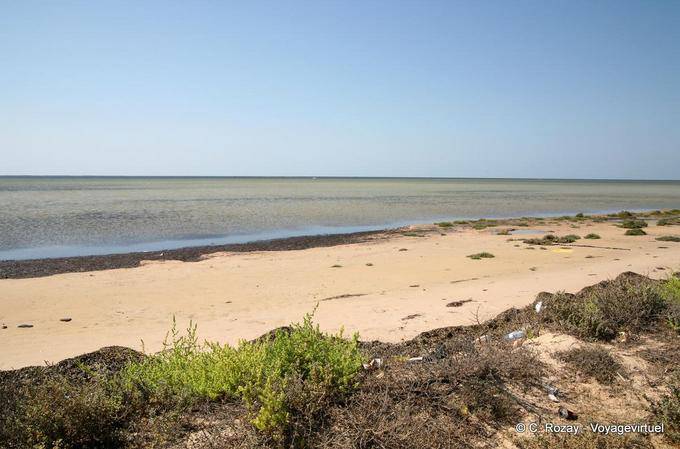 Plage à l'est, Remla, Kerkennah - Tunisie