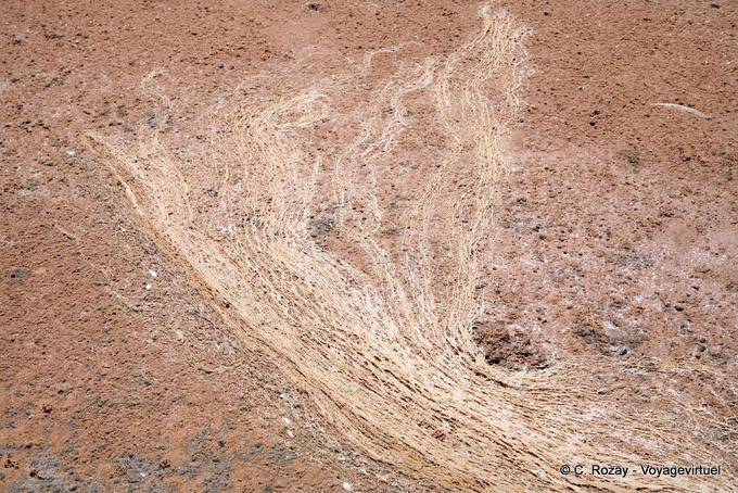Sel, terre et sable mêlés Sidi Frankhal Kerkennah - Tunisie