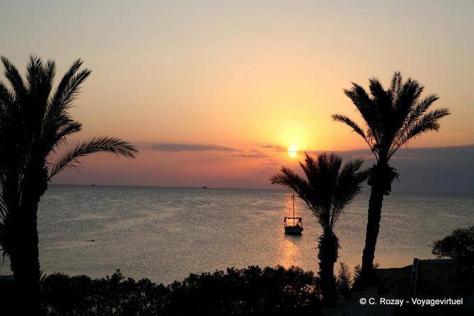 Vespérale sur palmiers, Sidi Frej, Kerkennah - Tunisie