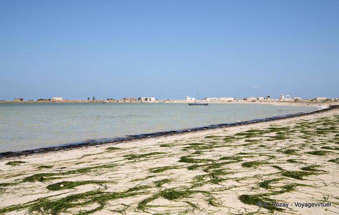 Plage aux algues à Kraten, Rass Ejiija, Sidi Tebani, Kerkennah - Tunisie