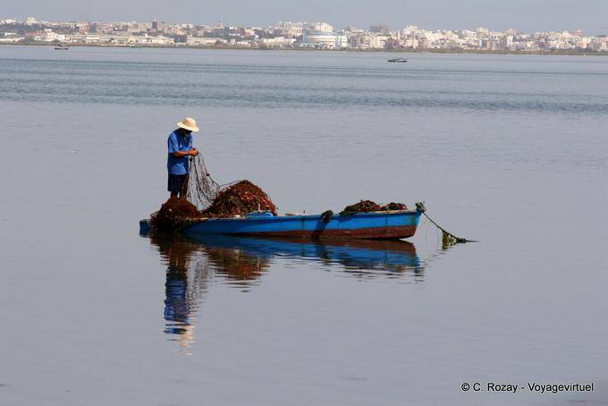 Instant pêcheur en Méditerranée, environs de Monastir - Tunisie