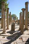 Colonnes de la Schola Juvenes, bâtiment de la la dynastie des Sévères, Makthar, Tunisie.