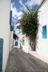 Sidi Bou Said, petite rue à pavement, Tunisie.