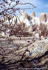 Printemps sur la Vallée blanche, Cappadoce, Turquie.