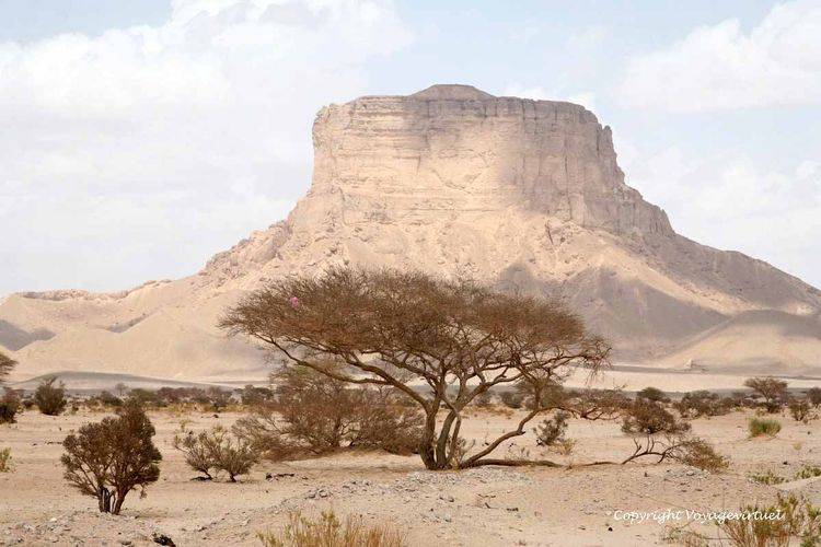 Ne se croirait-on pas dans un décor de far-west ? Al Abr
Mots-clés: Al-Abr paysage