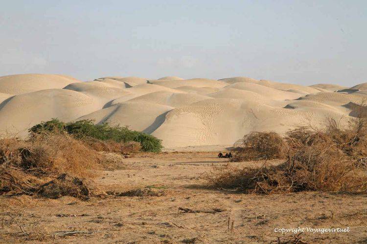 Arrondis sableux entre Bir Ali et Mukalla
Mots-clés: Bir-Ali desert