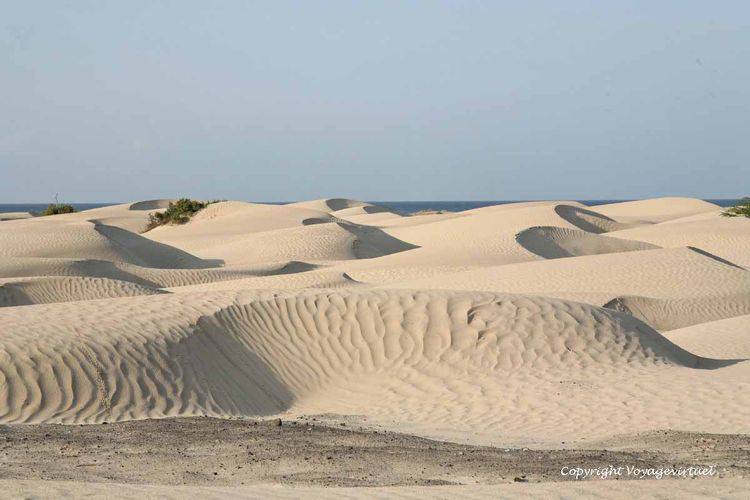 Dunes sur la route de Bir-Ali
Mots-clés: dunes Bir-Ali