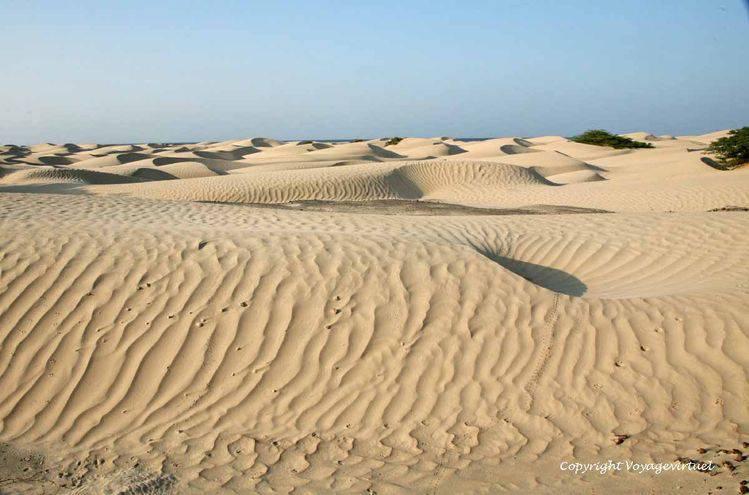 Mouvements de sable entre Bir Ali et Mukalla
Mots-clés: désert Bir-Ali