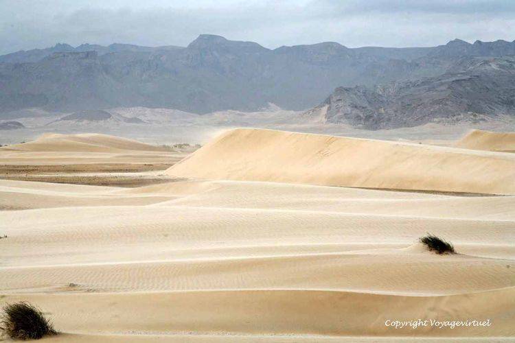 Vent impétueux sur dune en formation
Mots-clés: dune désert Bir-Ali