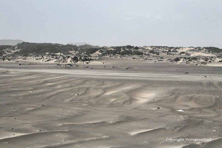 Désert neigeux entre Bir Ali et Mukalla
Mots-clés: désert sable