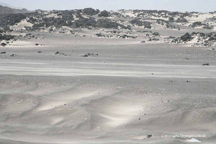 Ne croirait-on pas de la neige ?
Mots-clés: désert sable