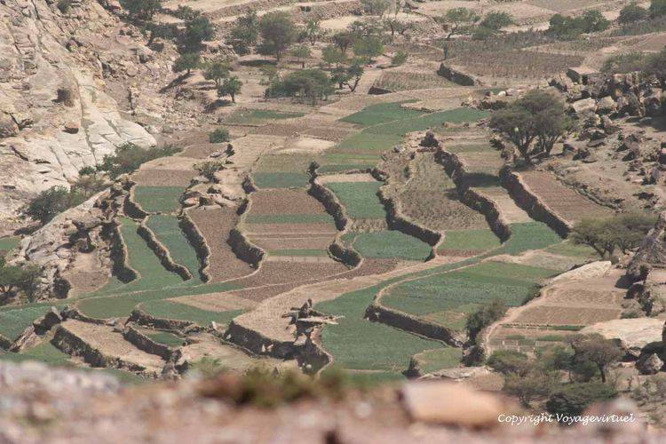 Terrasses dans la vallée avant de monter sur Zakatin
Mots-clés: Zakatin terrasses
