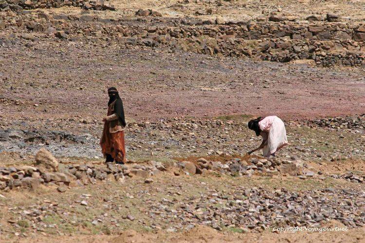 Sur le plateau de Masana'a, les bergères sont extrêmement farouches
Mots-clés: Masanaa Bokur