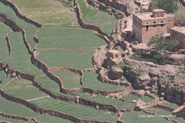 Gros plan sur les terrasses verdoyantes situées en contre-bas à droite du roc
Mots-clés: Bokur terrasses