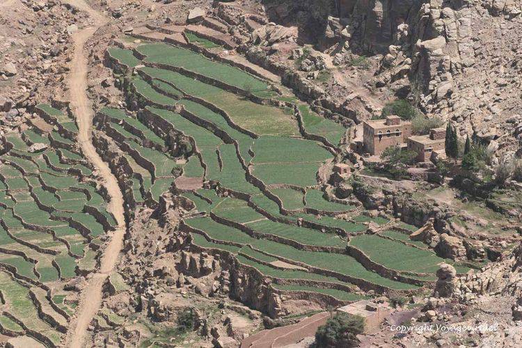 Perfection de l'architecture des terrasses qui ne retiennent que l'eau dont elles ont besoin
Mots-clés: Bokur terrasses