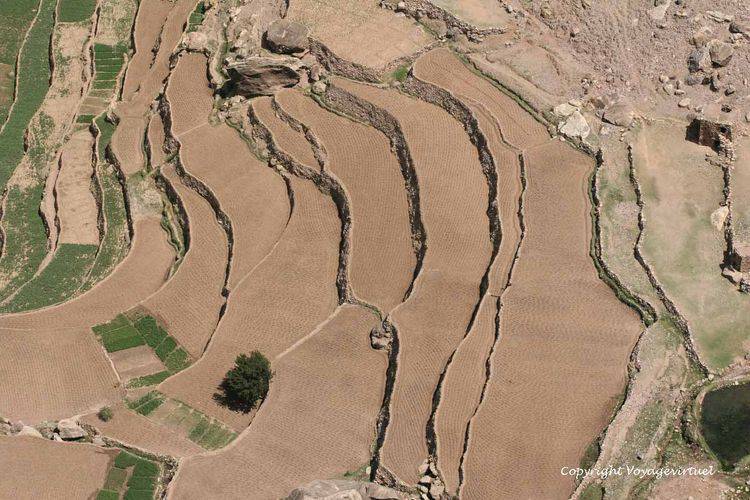 Terrasses venant d'être labourées
Mots-clés: Bokur terrasses labour