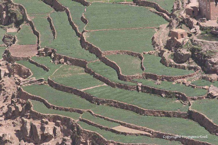 Autre perspective sur les champs de culture en terrasse
Mots-clés: Bokur terrasses