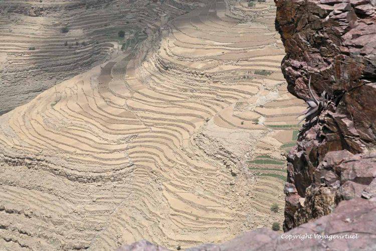 La plante de l'inaccessible
Mots-clés: Bokur terrasses