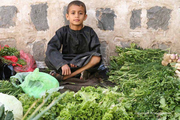 Le petit marchand de salades Sana'a
Mots-clés: Sana'a marchand salade