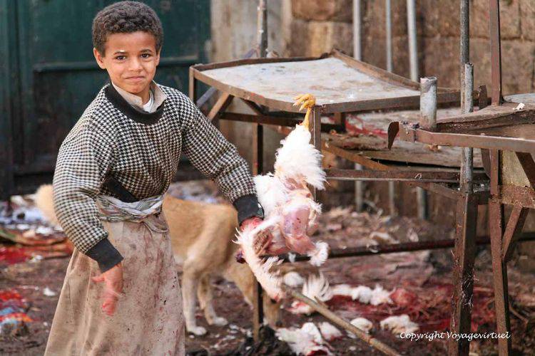 Enfance au travail : plumage du poulet Shibam
Mots-clés: enfance travail Shibam
