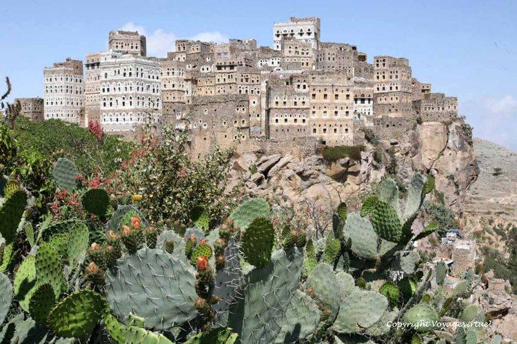 Surgi au milieu des cactus
Mots-clés: Al-Hajjarah