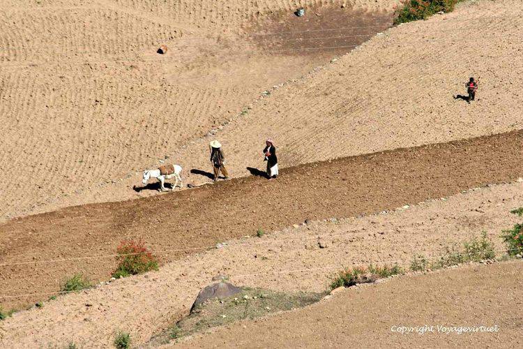 Géométrie du labour
Mots-clés: Al-Hajjarah labour