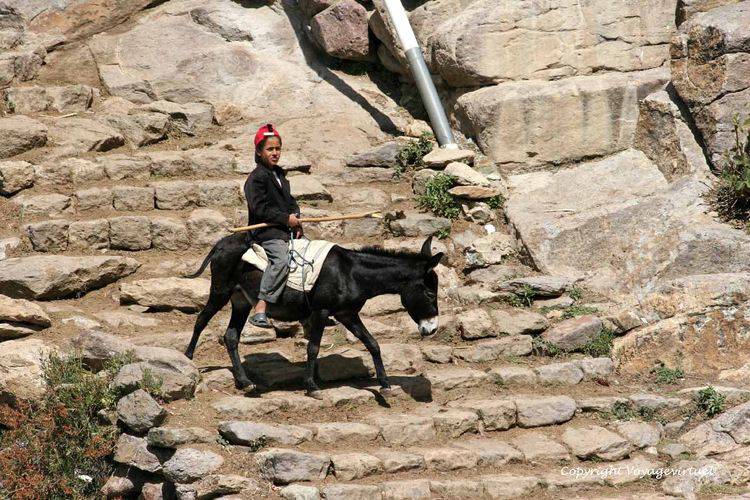 Descente sur un âne
Mots-clés: Al-Hajjarah