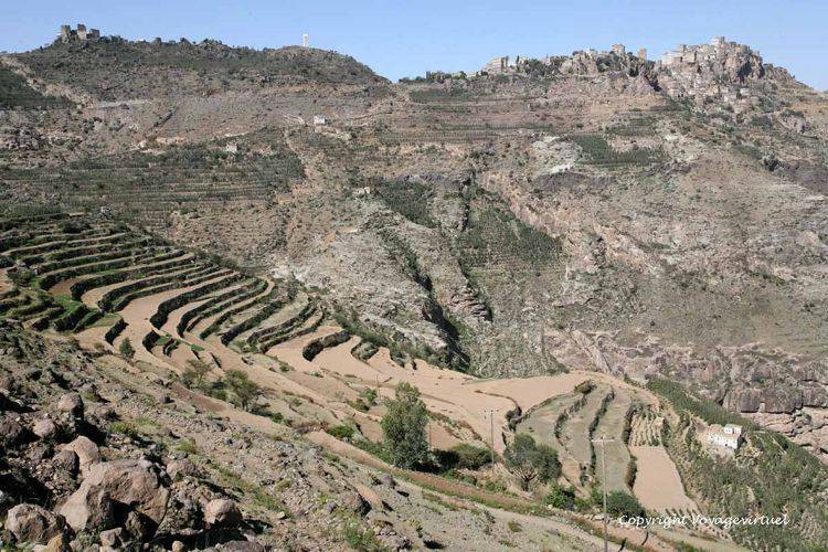 Cultures et terrasses
Mots-clés: Al-Hajjarah