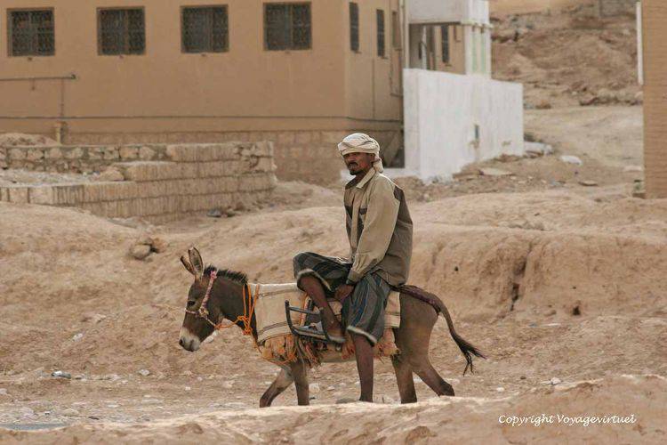 Le passant sur son âne
Mots-clés: Al-Hajrayn Al-Hajjarayn