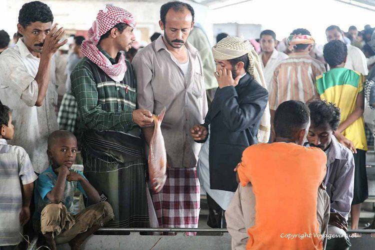 Acheteur tenté
Mots-clés: Al-Hodeidah poisson