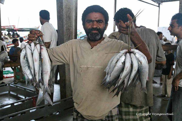 Un pour le prix de deux
Mots-clés: Al-Hodeidah poisson