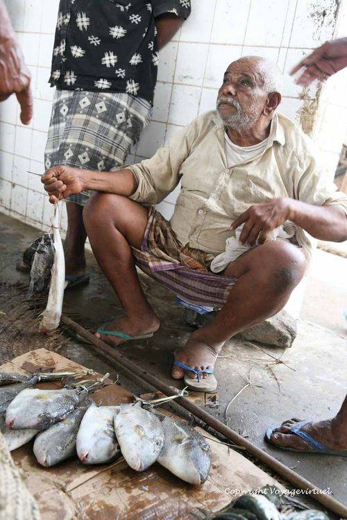C'est tout ce qu'il me reste
Mots-clés: Al-Hodeidah poisson
