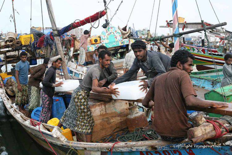 tihama-al-hodeidah-3333
Mots-clés: Al-Hodeidah port pêche