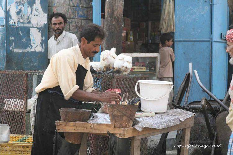 Poulet plumé
Mots-clés: Al-Hodeidah souk