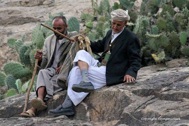 Dans la vie, il y a des cactus - Al-Hajjarah
Mots-clés: cactus Al-Hajjarah