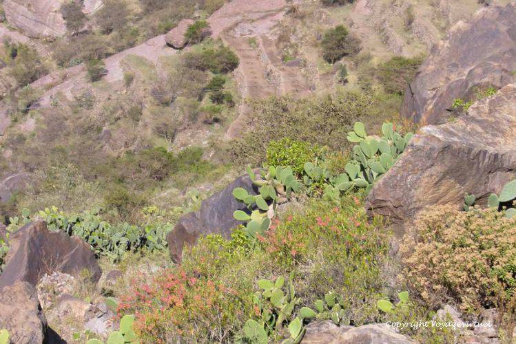 Les couleurs de la vallée
Mots-clés: Al-Hoteib