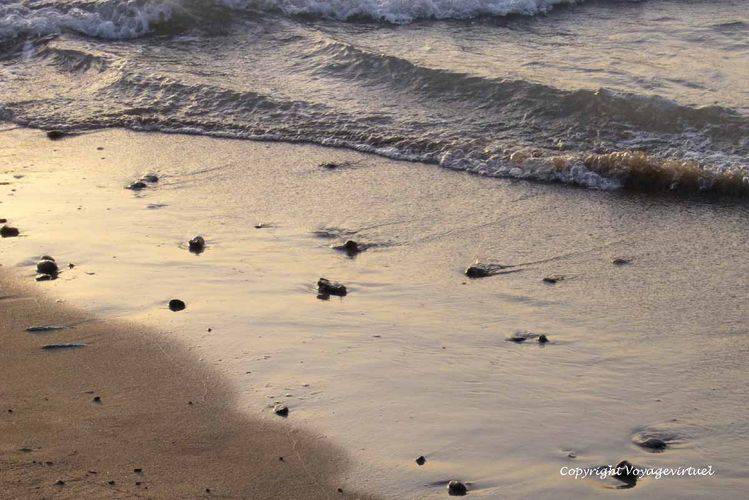 Quand la mer se retire
Mots-clés: Khokhah Tihama plage
