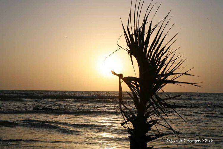 Première variation sur un palmier décharné au soleil couchant
Mots-clés: Khokhah Tihama soleil