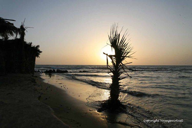 Seconde variation sur un palmier les pieds dans la mer au soleil couchant
Mots-clés: Khokhah Tihama soleil