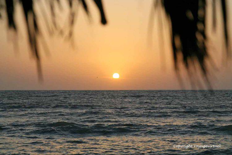 Ombre de palmier sur coucher de soleil
Mots-clés: soleil Khokhah Tihama