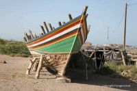 tihama-khokhah-3060.jpg