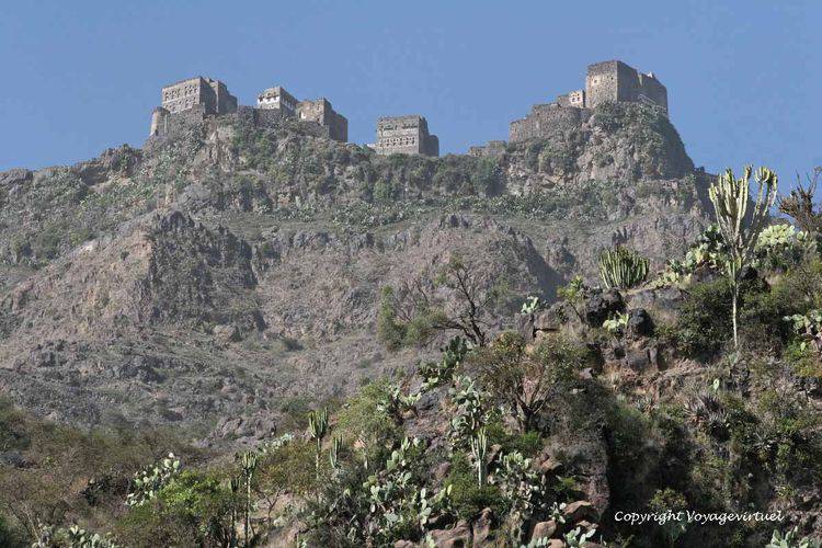 Dans le djebel Dulfa
Mots-clés: djebel Dulfa
