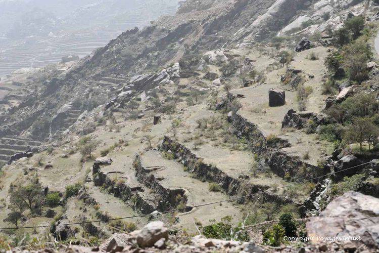Terrasses autour de LaQamat Al-Qadi
Mots-clés: LaQamat Al-Qadi terrasses