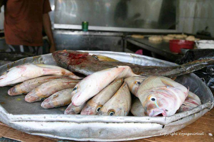 Plat de poissons frais à manger dans le restaurant sur la place principale prés de la mosquée
Mots-clés: Mukallah restaurant poisson