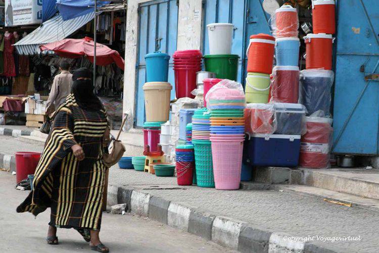 La femme et les plastiques Mukallah
Mots-clés: Mukallah femme