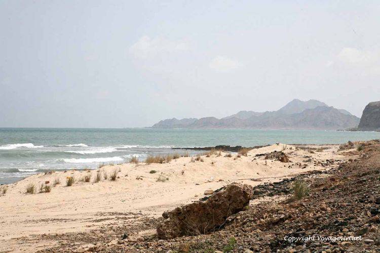 Paysage à la sortie ouest de Mukallah
Mots-clés: Mukallah paysage