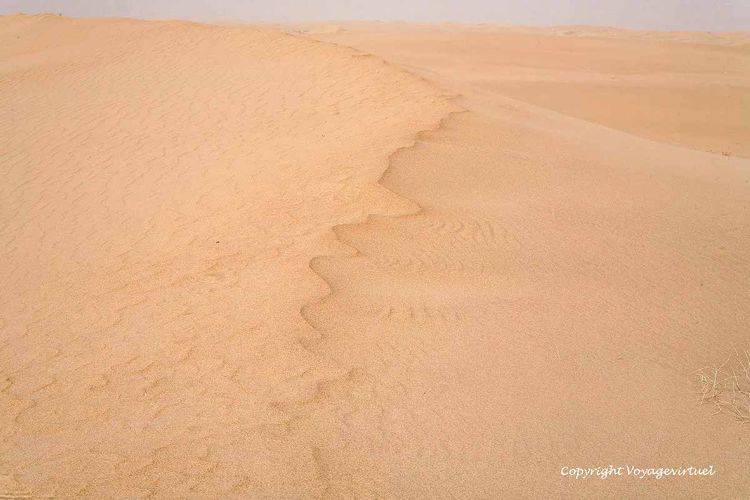 Itinéraire dunaire, le Quart Vide ou Rub al Khali
Mots-clés: Rub-Al-Khali desert dune