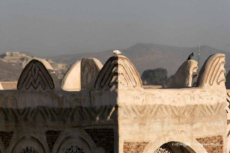 Pigeons
Mots-clés: Sanaa