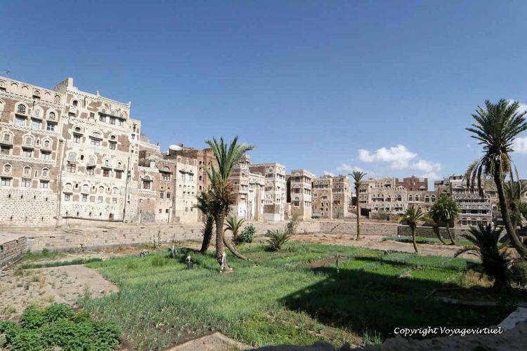 Campagne à la ville Bustan At-Tawz
ou bustan al-Tawut
Mots-clés: Sanaa