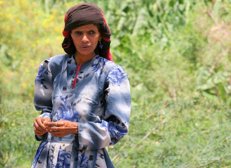 La femme en bleu
Mots-clés: femme wadi-Serdoud